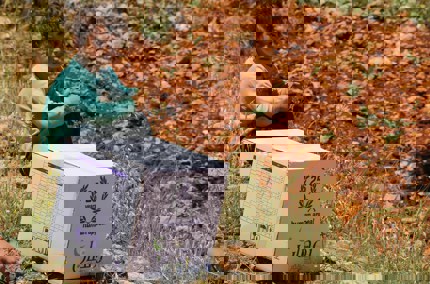 Update: The situation in Syria