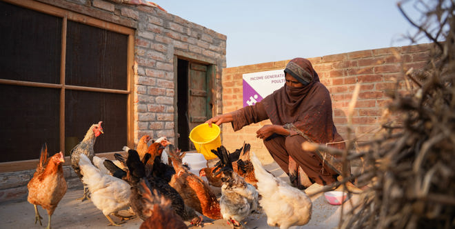 Chicken Farm