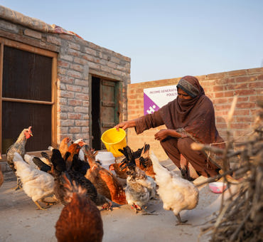 Chicken Farm