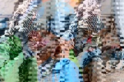 Fresh horrors for the people of Syria as the displacement crisis spirals out of control