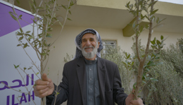 Olive Trees Appeal