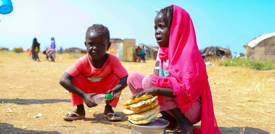 Livelihood Project - Sudan