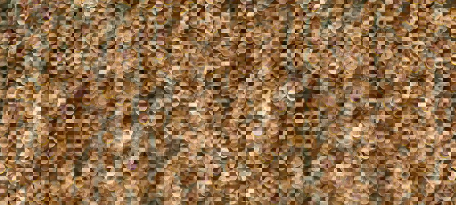 Blessings of the Islamic New Year