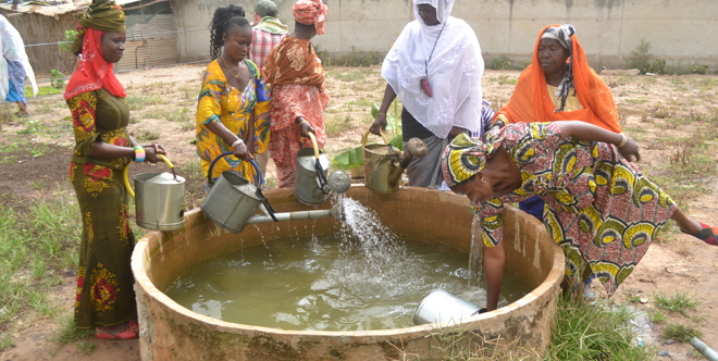 Senegal Integrated Village