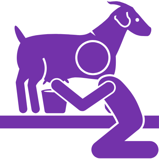 Milking Goats