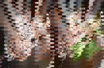 Importance of Unity in Islam