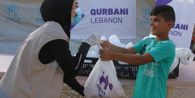Lebanon Qurbani (Cow)