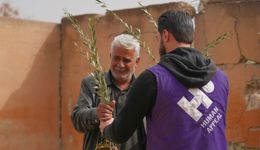 Olive Trees Appeal