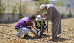 Plant an Olive Tree | Restore a Farmer's Livelihood