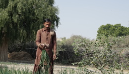 Sadaqah Jariyah Appeal 