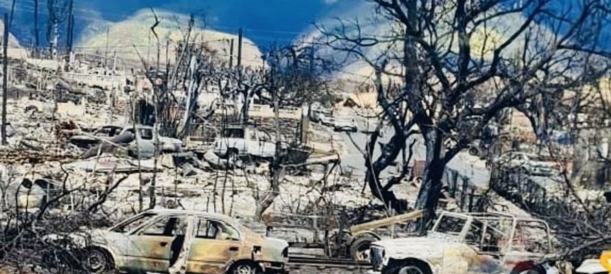 Human Appeal first global Muslim charity on scene at Hawaii wildfires