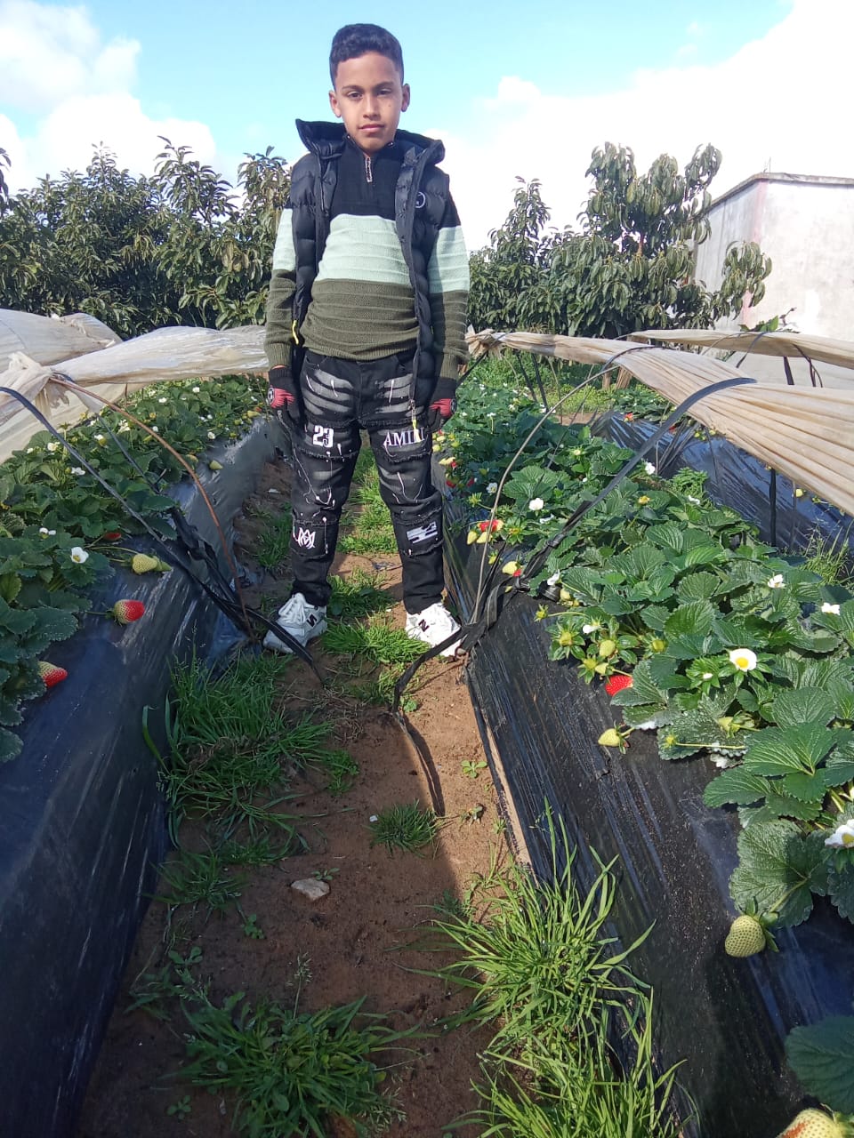 Human Appeal Orphan - Saifeddine