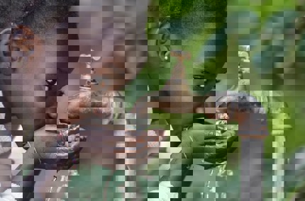 East Africa in crisis on International World Water Day 2017