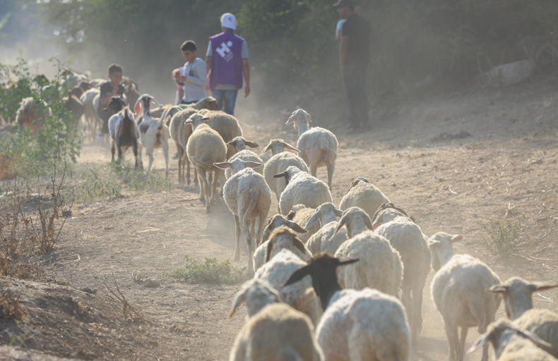 What is Qurbani in Islam — a family preparing their Qurbani sacrifice donation