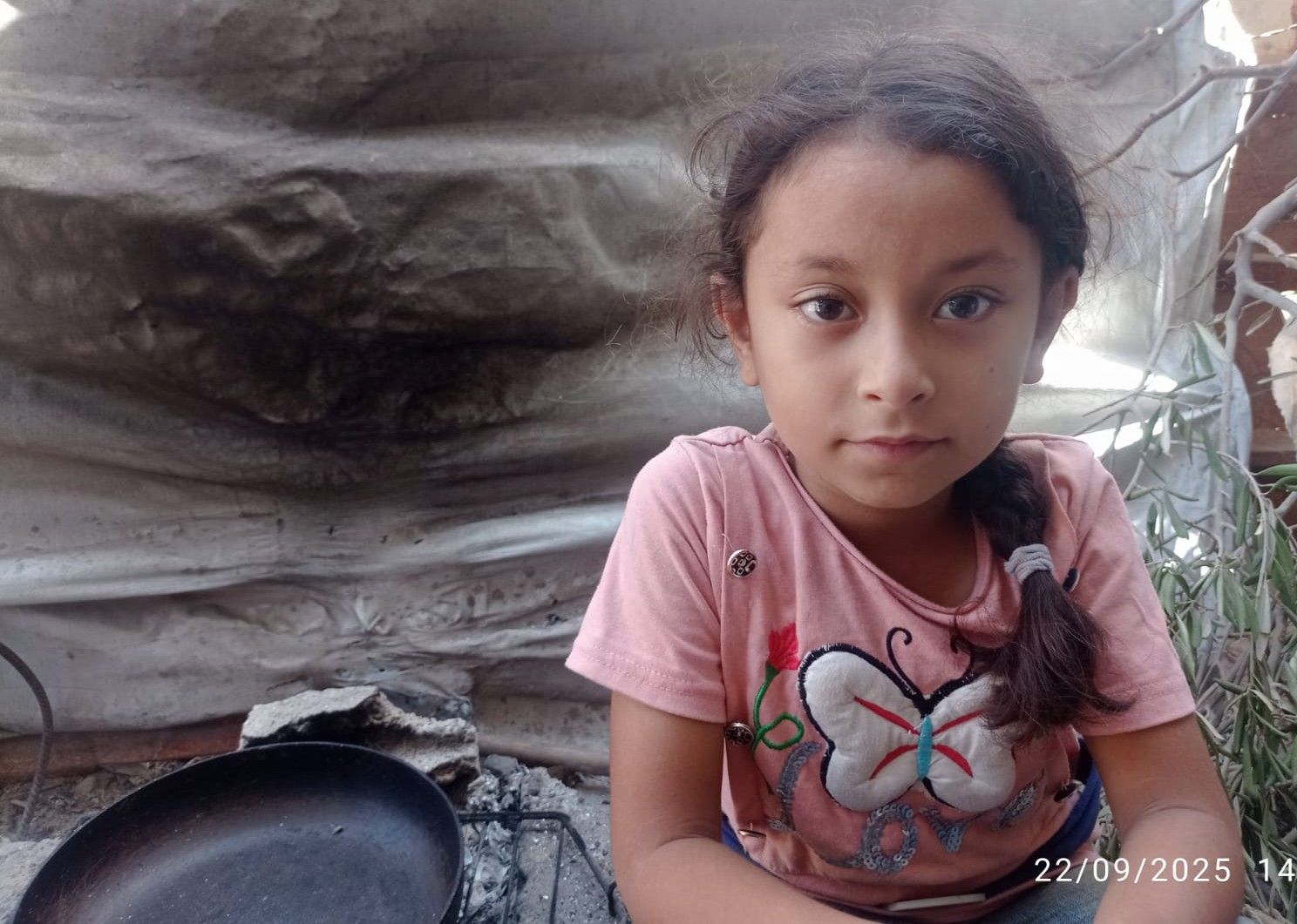 Human Appeal Orphan - Rima