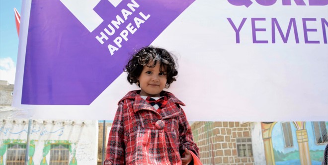 Yemen Qurbani (Cow)