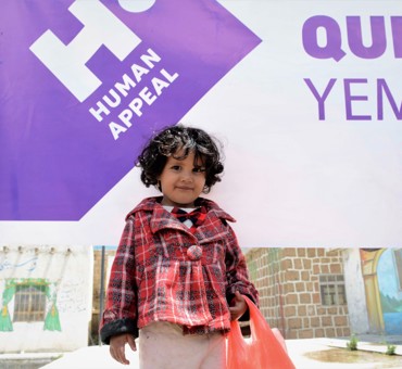 Yemen Qurbani (Cow)