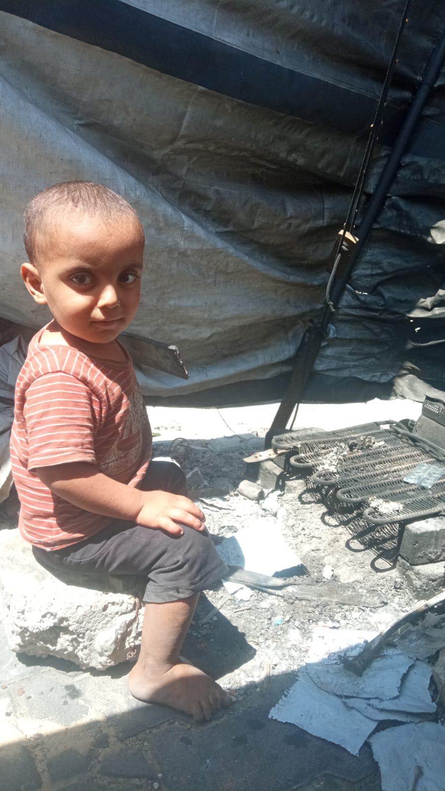 Malek, Human Appeal Orphan from Palestine