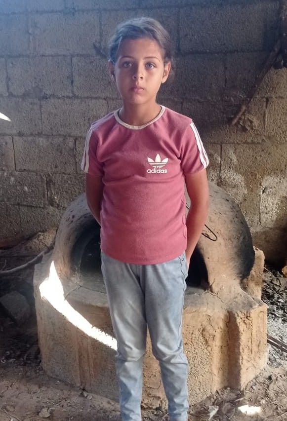 Lana, Human Appeal Orphan from Palestine