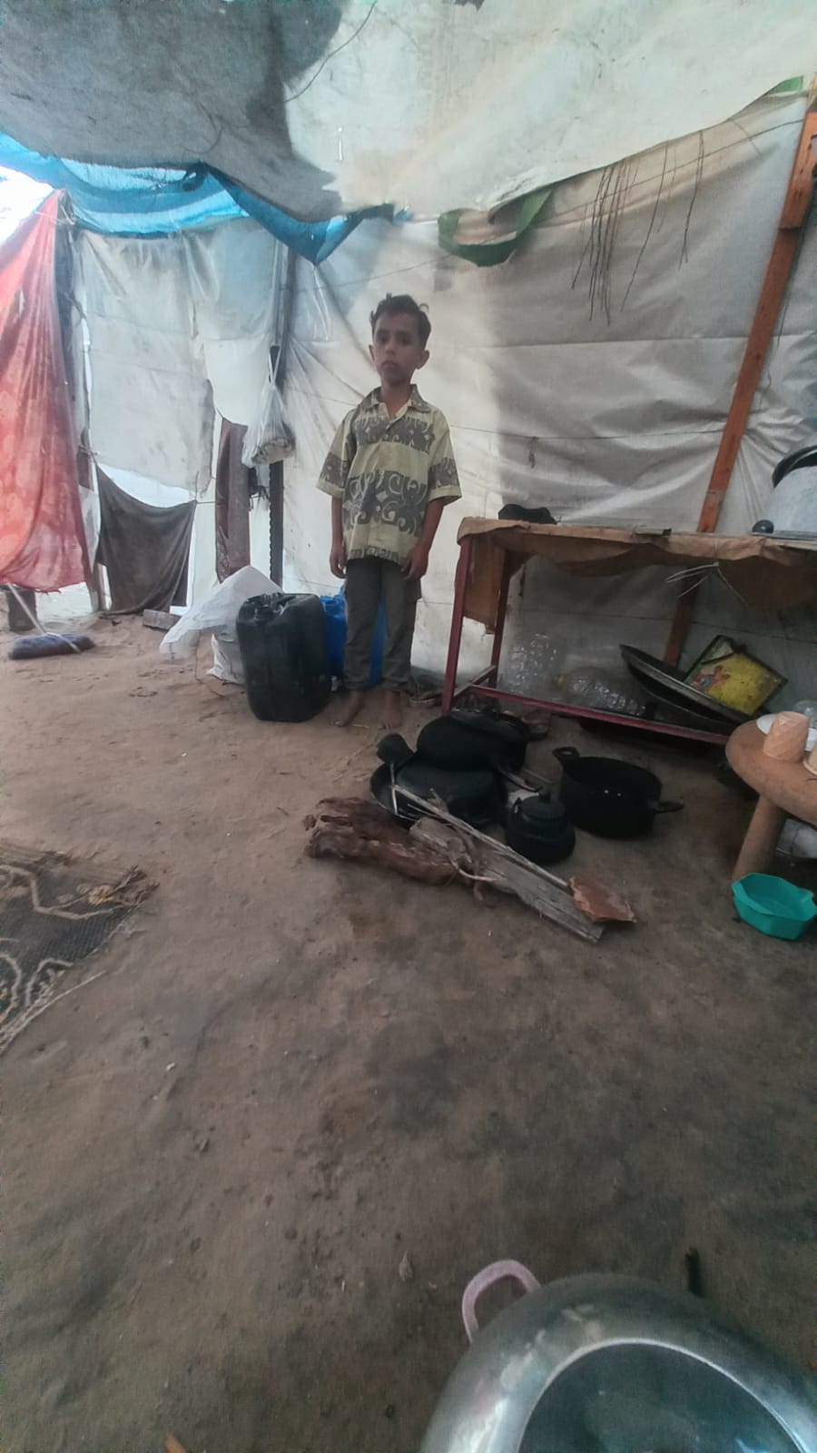 Qasem, Human Appeal Orphan from Palestine