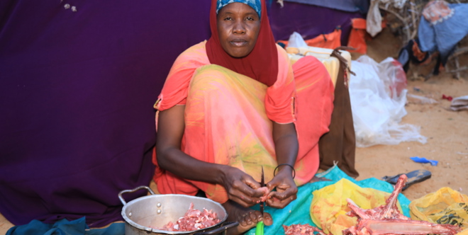 Somalia Qurbani (Sheep)