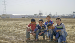 Neighbors In Paradise