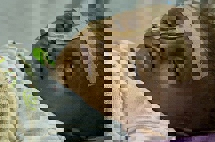 42% of the UK don’t know there is a war in Yemen finds UK NGO Human Appeal and YouGov