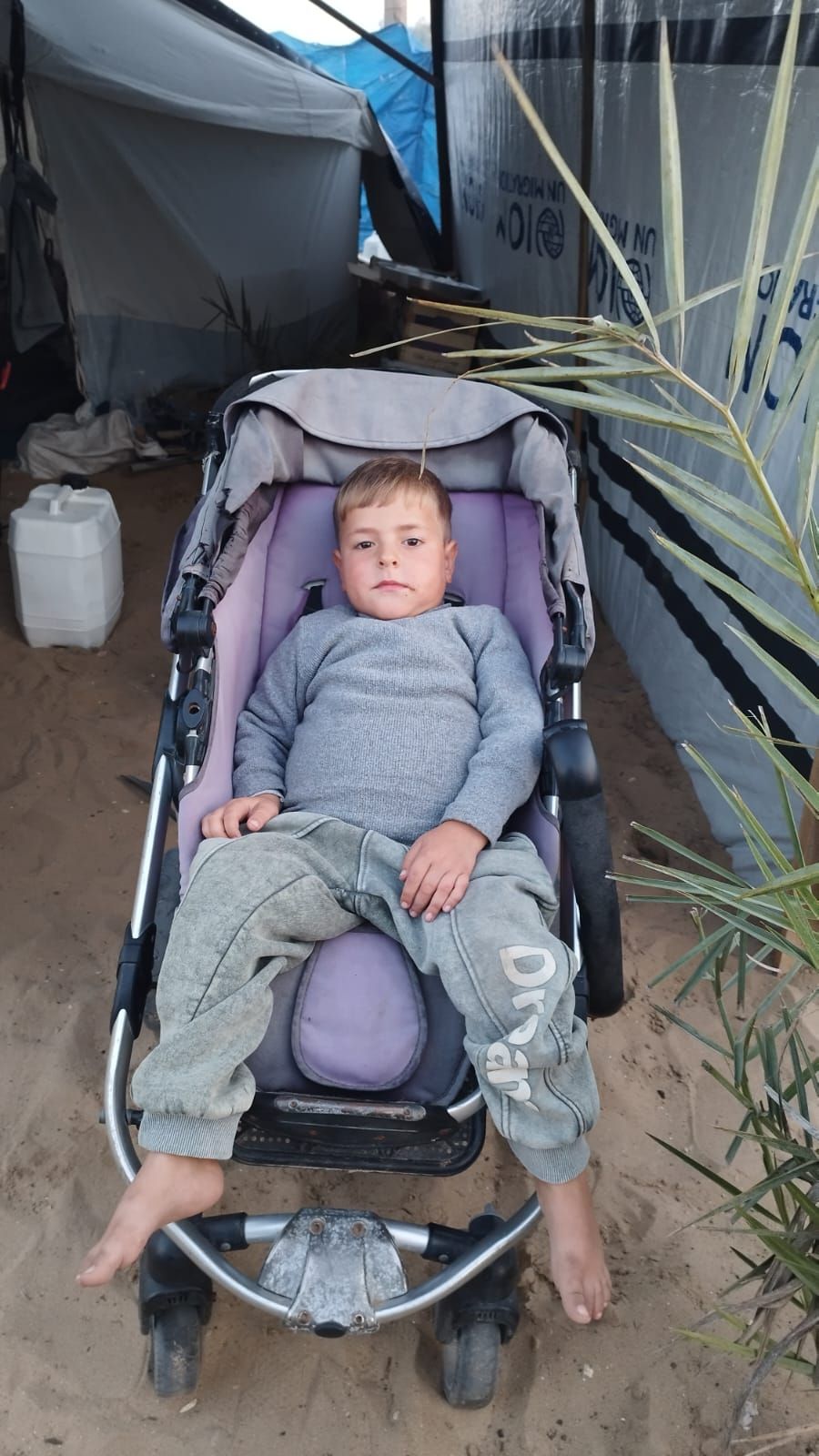 Human Appeal Orphan - Zein