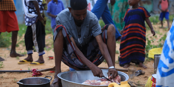 Somalia Qurbani (Cow)