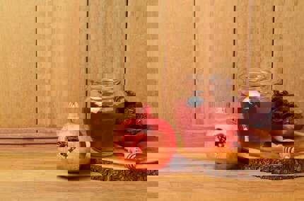 Fruits of the Qur'an