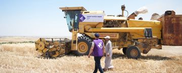 Human Appeal supports Syrian farmers through new wheat supply chain project