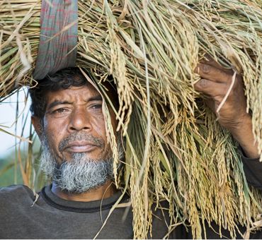 Livelihoods Fund
