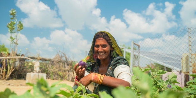 Livelihoods Fund