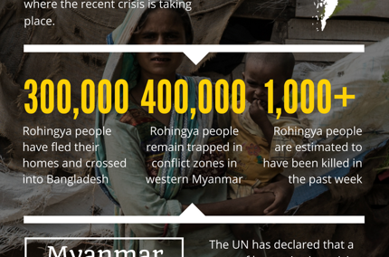 Myanmar crisis escalates as UN describes situation as ‘ethnic cleansing’
