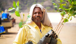 Yemen Emergency Appeal